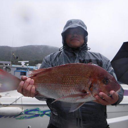 JDI Racing シールズマリンレジャー 釣果