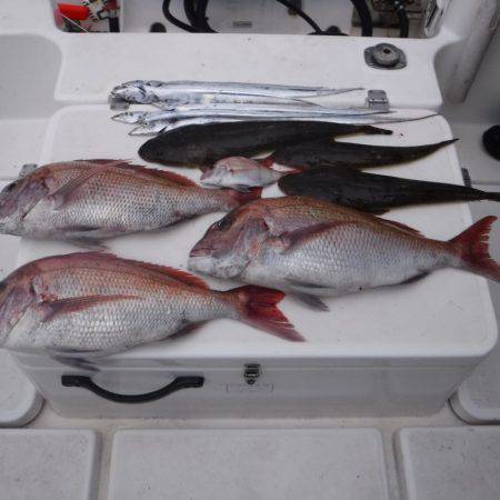 ＪＤＩ　Ｒａｃｉｎｇ　シールズマリンレジャ…