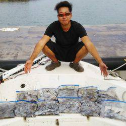 マリンガイド福丸 釣果