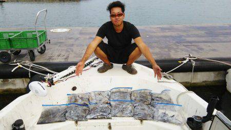 マリンガイド福丸 釣果