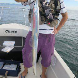 Chase（チェイス） 釣果