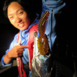 Chase（チェイス） 釣果