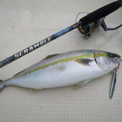 Chase（チェイス） 釣果