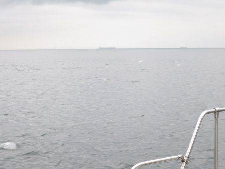 Chase（チェイス） 釣果