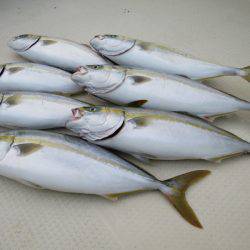 Chase（チェイス） 釣果