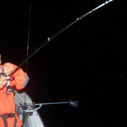 Fishing boat NATTYI 釣果