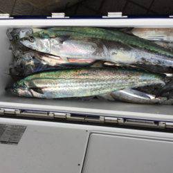 Monster Rush! 釣果