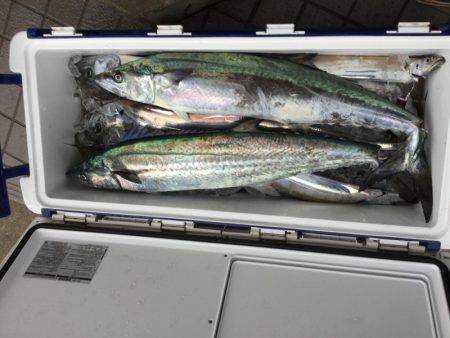 Monster Rush! 釣果