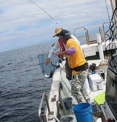 第二清洋丸 釣果