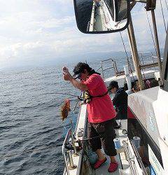 第二清洋丸 釣果