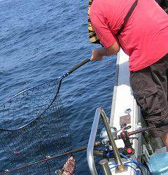 第二清洋丸 釣果