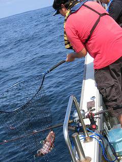 第二清洋丸 釣果