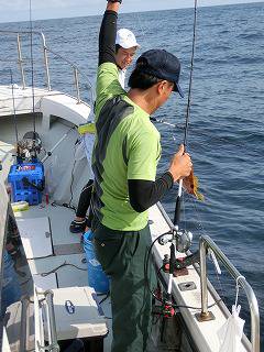 第二清洋丸 釣果