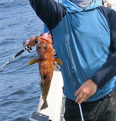 第二清洋丸 釣果