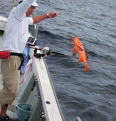 第二清洋丸 釣果