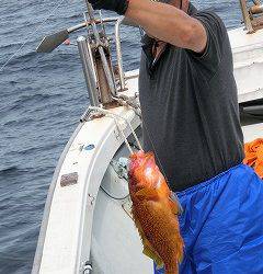 第二清洋丸 釣果