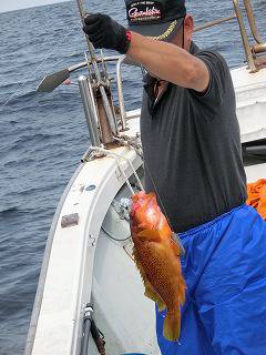 第二清洋丸 釣果