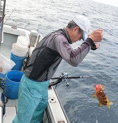 第二清洋丸 釣果