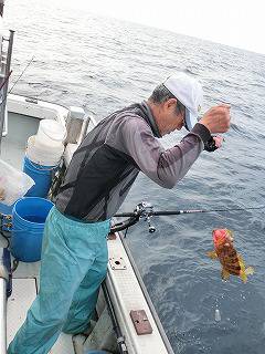 第二清洋丸 釣果