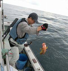 第二清洋丸 釣果