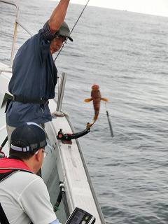 第二清洋丸 釣果