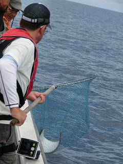 第二清洋丸 釣果