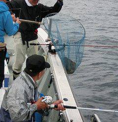 第二清洋丸 釣果