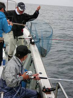 第二清洋丸 釣果