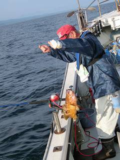 第二清洋丸 釣果