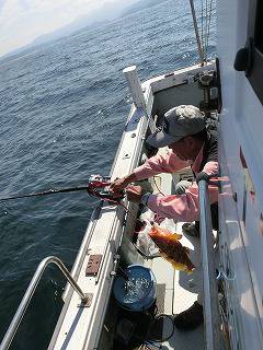 第二清洋丸 釣果