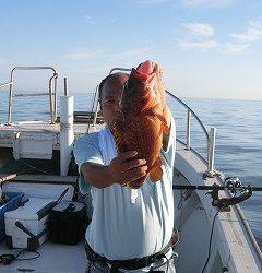 第二清洋丸 釣果