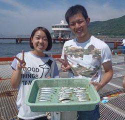 神戸市立須磨海づり公園　サビキでアジ、イワシ