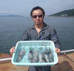 神戸市立須磨海づり公園　エギングでアオリイカ