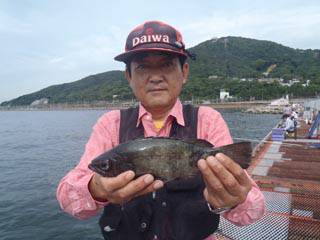 神戸市立須磨海づり公園