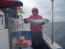 芳陽丸 釣果