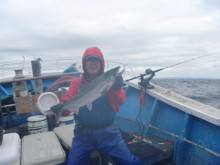 芳陽丸 釣果