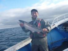 芳陽丸 釣果