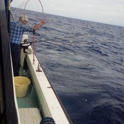 香織丸 釣果