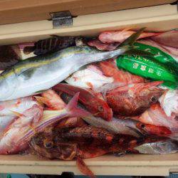 香織丸 釣果