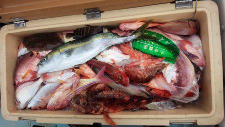 香織丸 釣果
