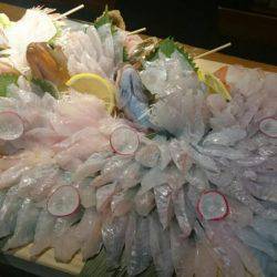 リトルワン 釣果