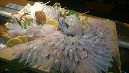 リトルワン 釣果