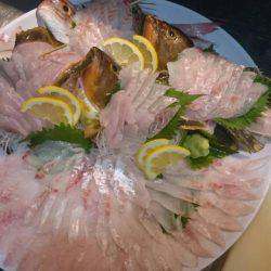 リトルワン 釣果