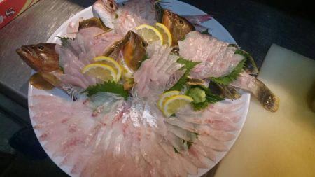 リトルワン 釣果