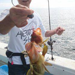 リトルワン 釣果