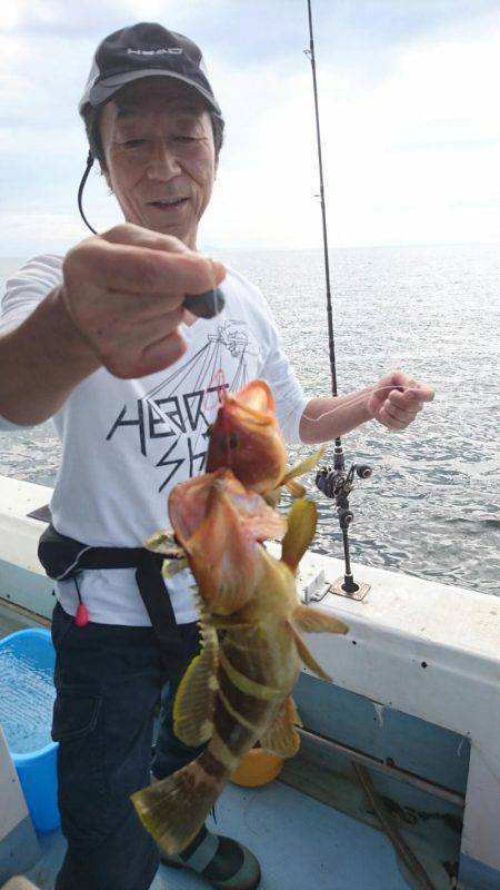 リトルワン 釣果