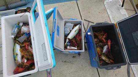 リトルワン 釣果