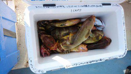 リトルワン 釣果