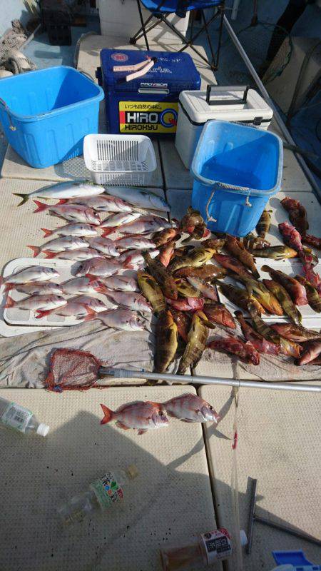 リトルワン 釣果