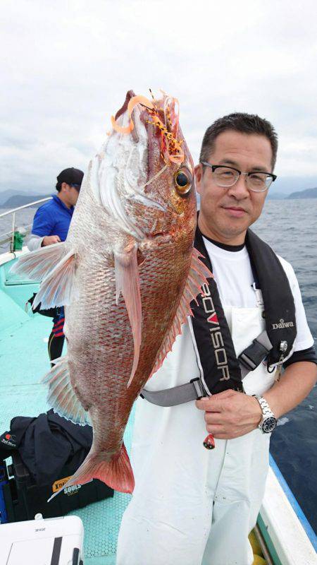 シードリーム 釣果